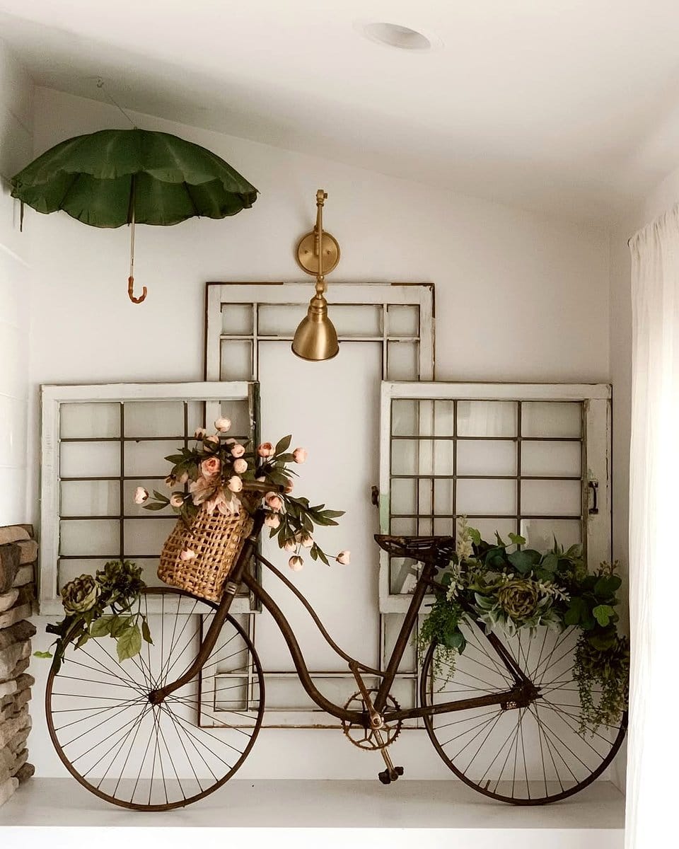 bicycle plant among indoor garden