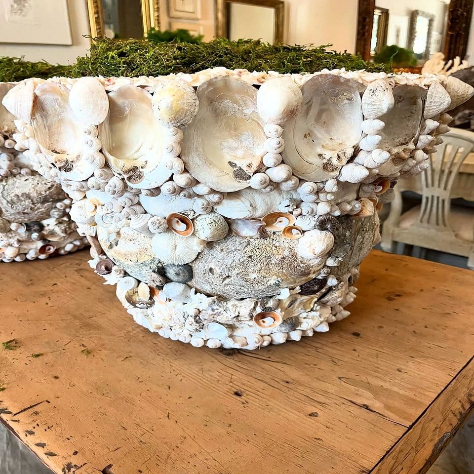 Seashell candle holder with succulents