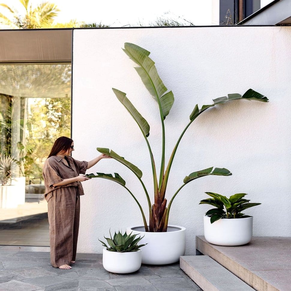 Geometric plant pot display on balcony rail