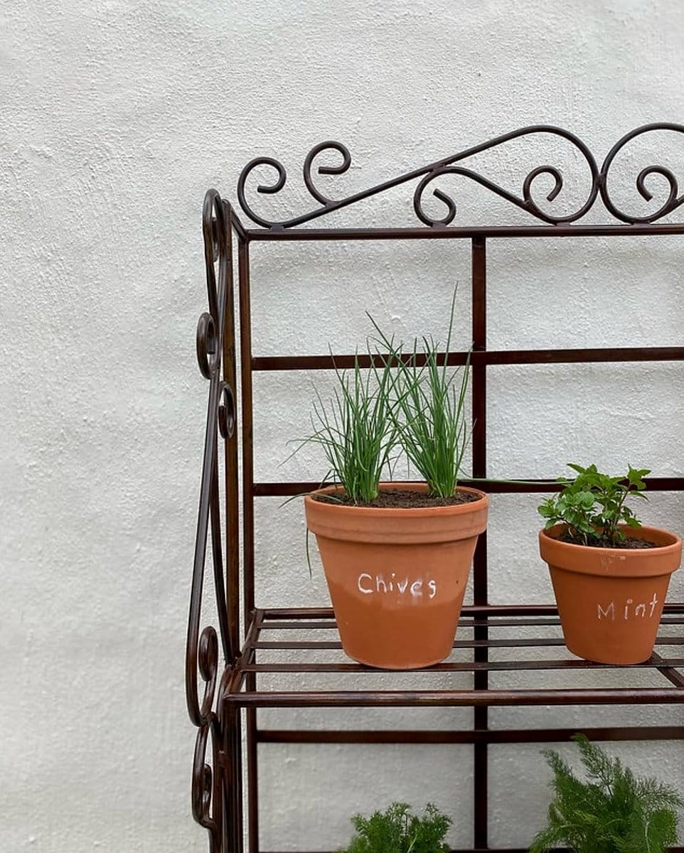 staggered planter shelves with herbs