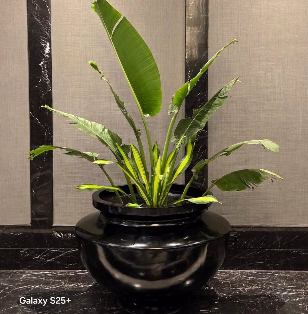 Sleek pixel Galaxian starship plant pots