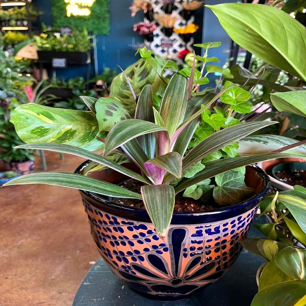 Plant pot with galactic glaze effect