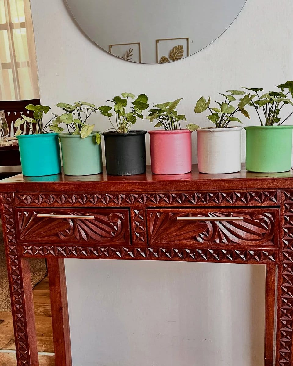 Syngonium and Arrowhead Vine in ceramic pots