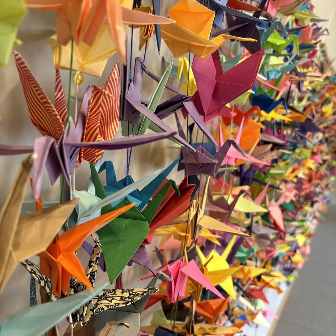 Suspended origami cranes above potted plants