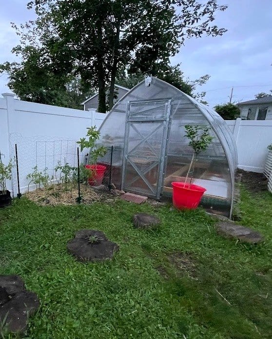 herbs growing in hydroponic setup