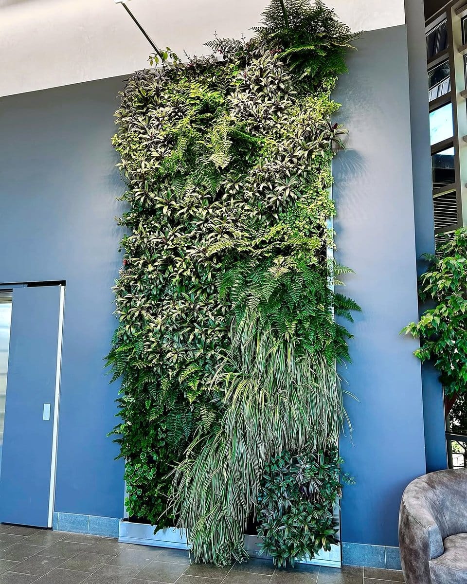 vibrant living wall installation
