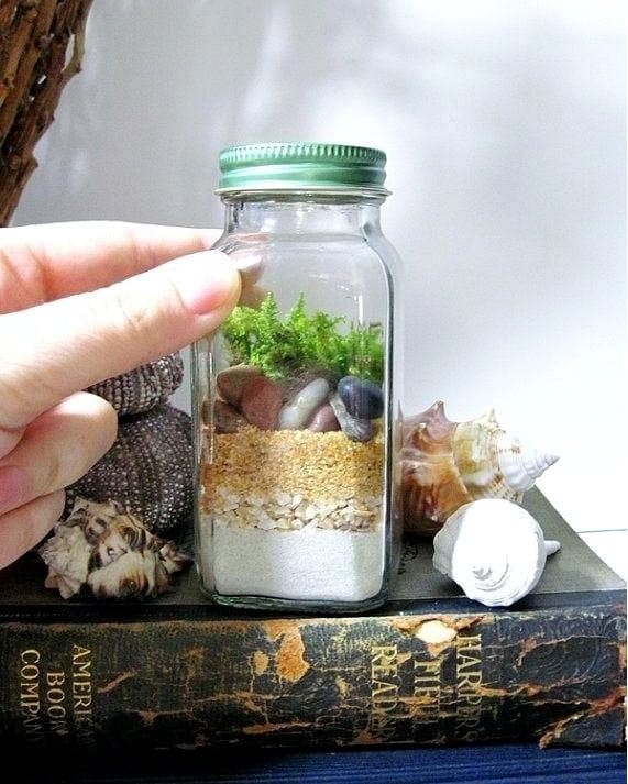 mason jars with fresh herbs