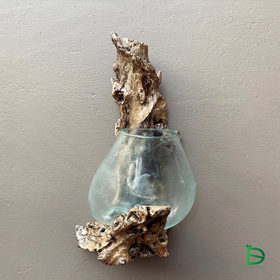 Driftwood hanging terrarium with plants