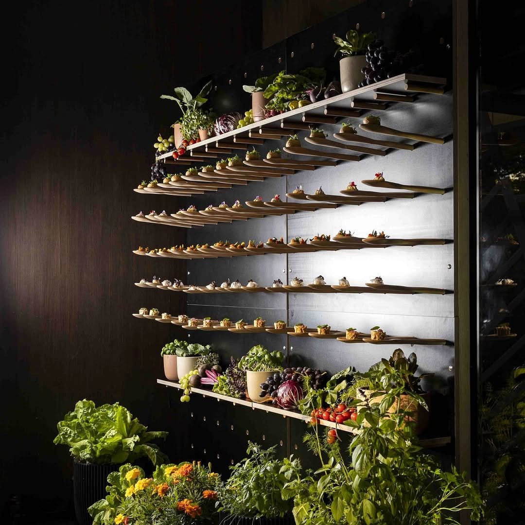 wooden shoe plant holder wall display