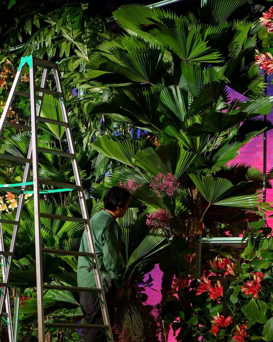 colorful painted ladder with plants