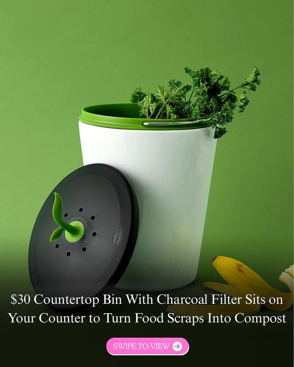 stylish compact compost bin on countertop