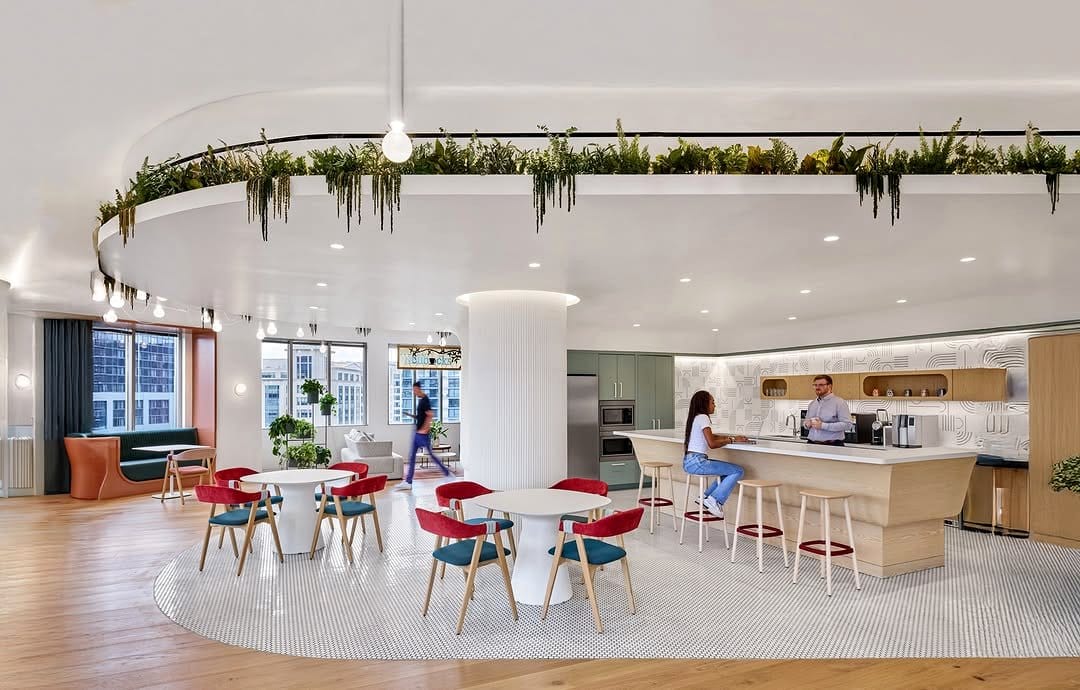 pendant lights over vertical garden