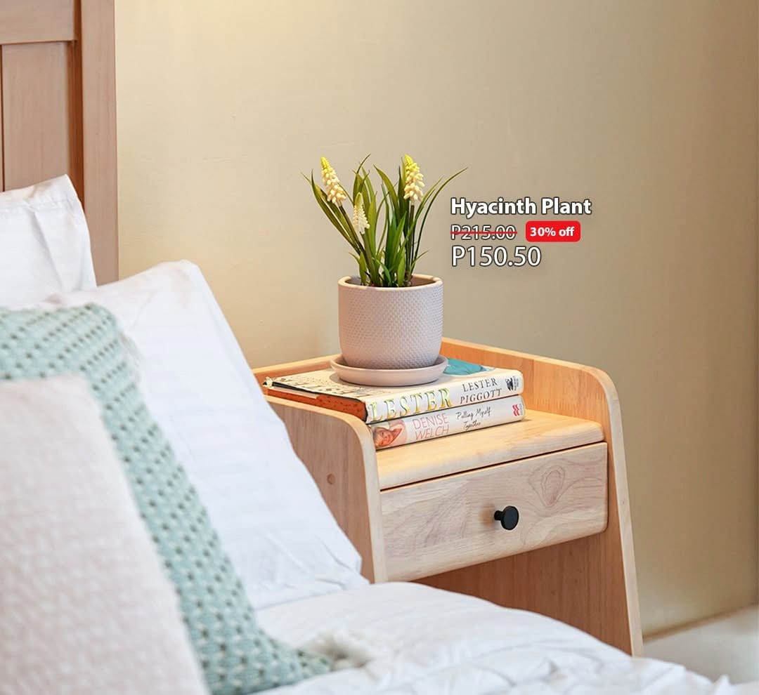 small potted plant on nightstand