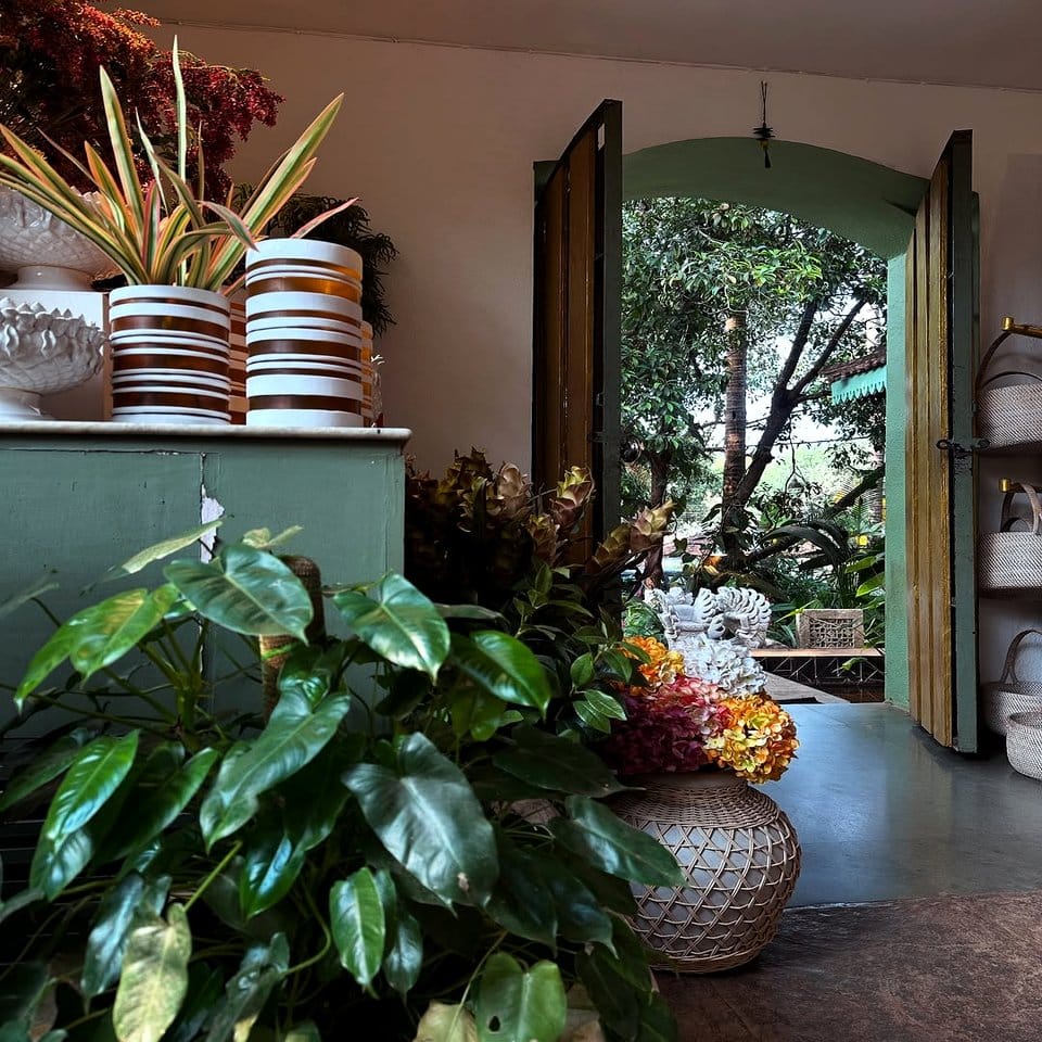 Geometric plant pot display on ladder