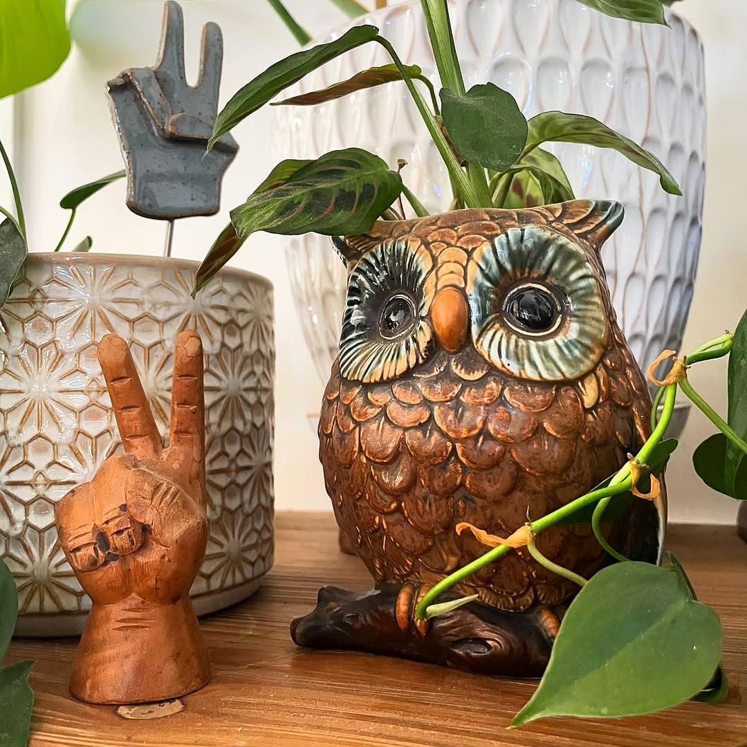 vintage ceramic planter with ivy