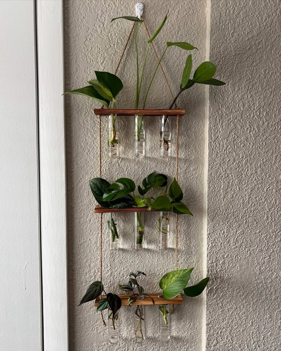 wall-mounted test tube rack with cuttings