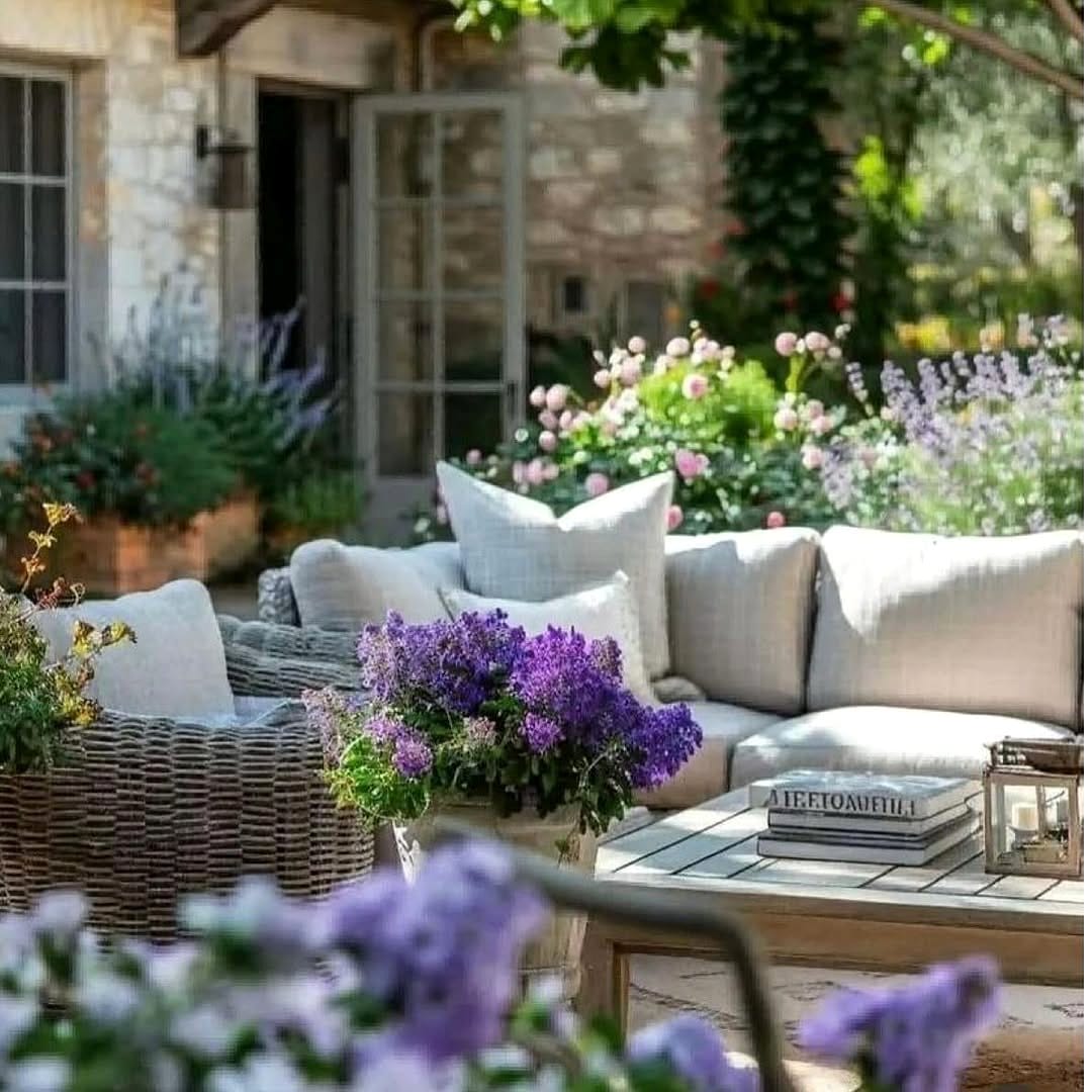 eclectic mix plant pots with mixed plants