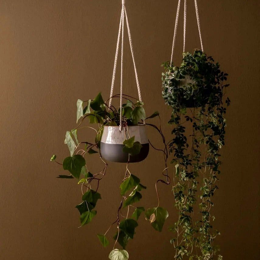 Chic geometric metal plant pots