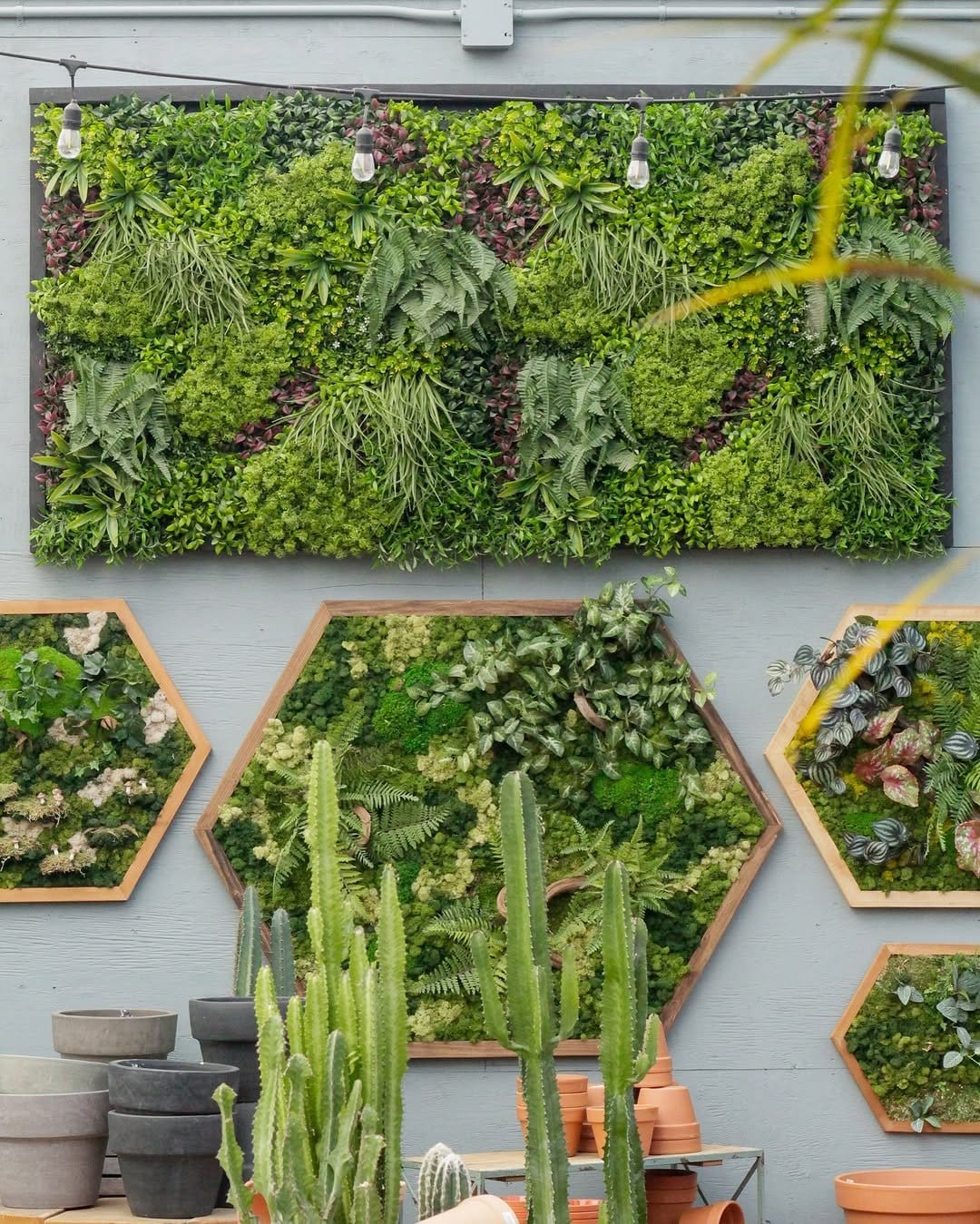 Minimalist moss in Scandinavian-style frame