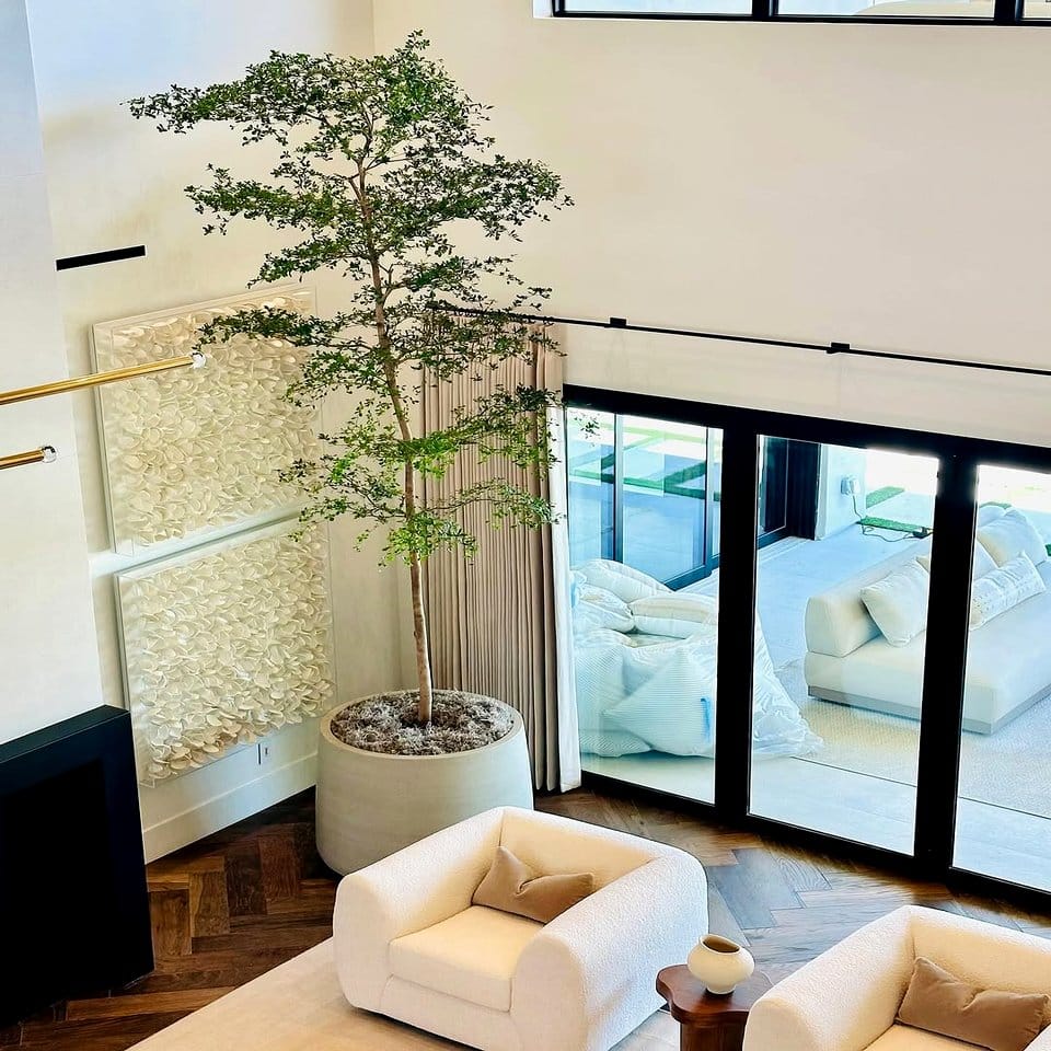 Orchids displayed with velvet drapery