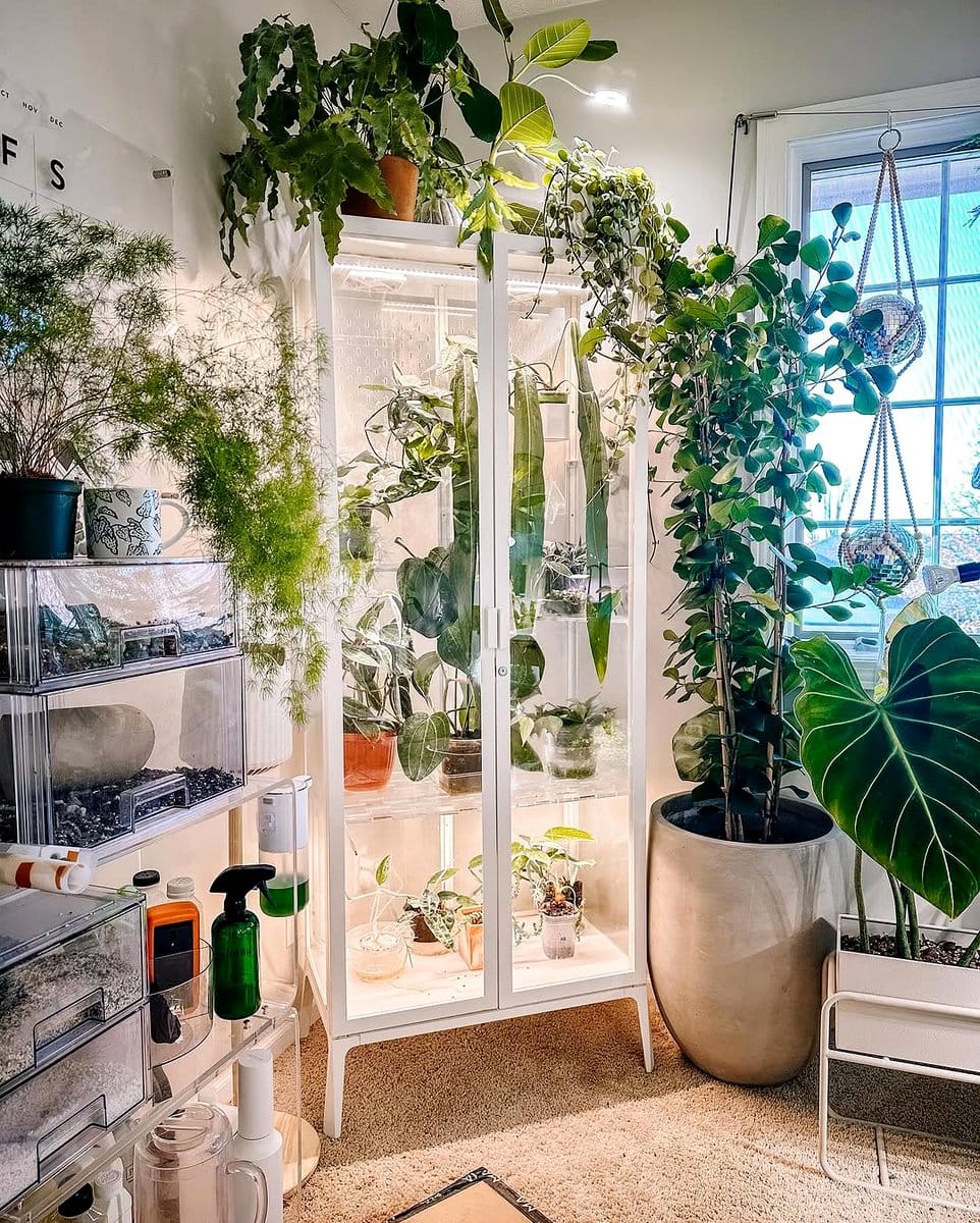 ivy plant cascading from cabinet