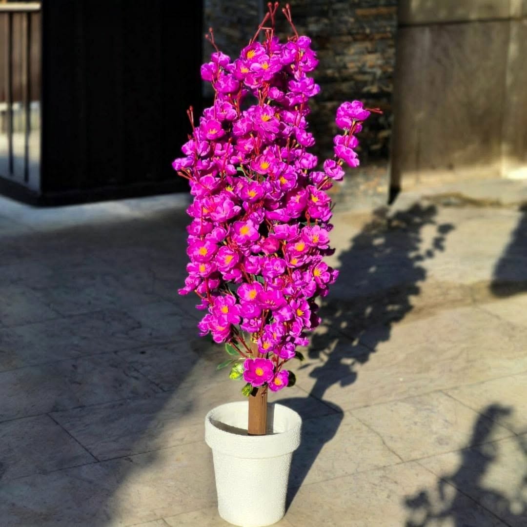 Assorted plants with varying heights and colors