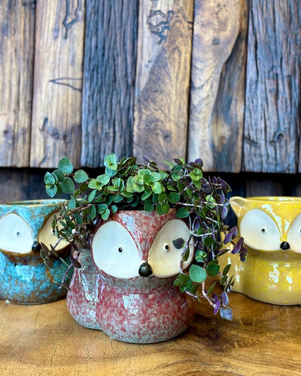 whimsical ceramic animal container with ivy