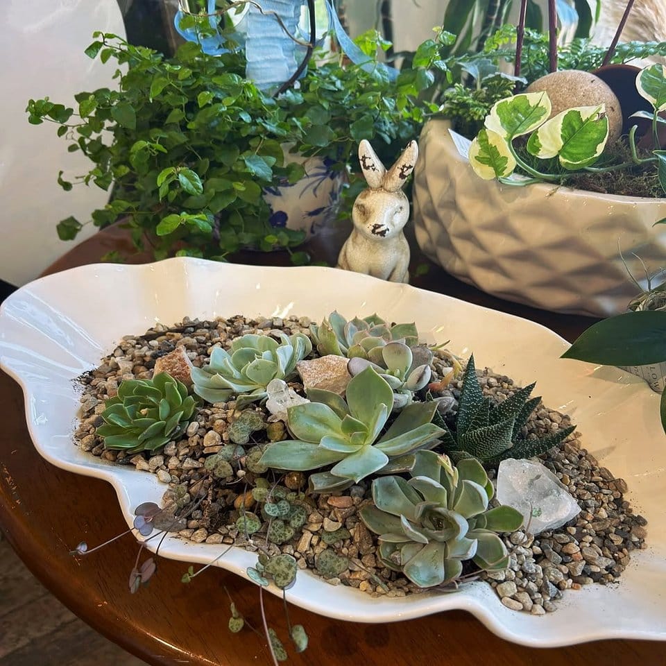 Succulent and shell table centerpiece