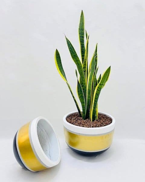 Brightly colored geometric planters on window sill