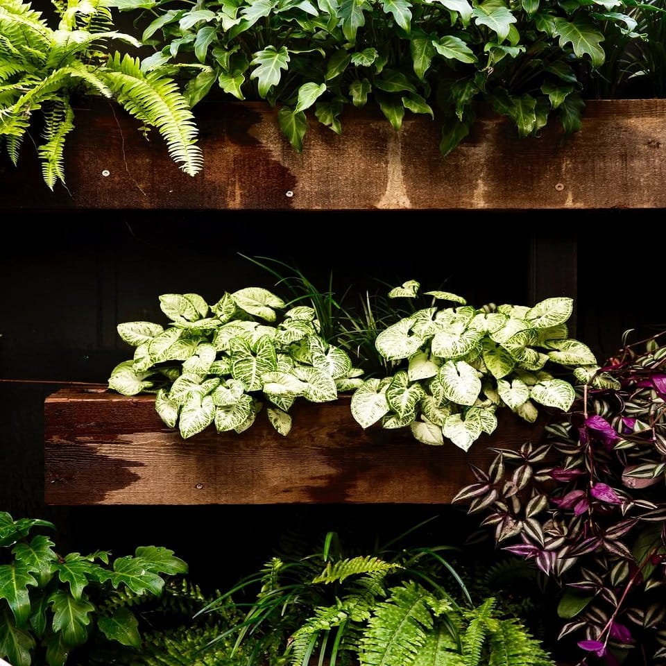 Nature-inspired gallery wall with rune stand