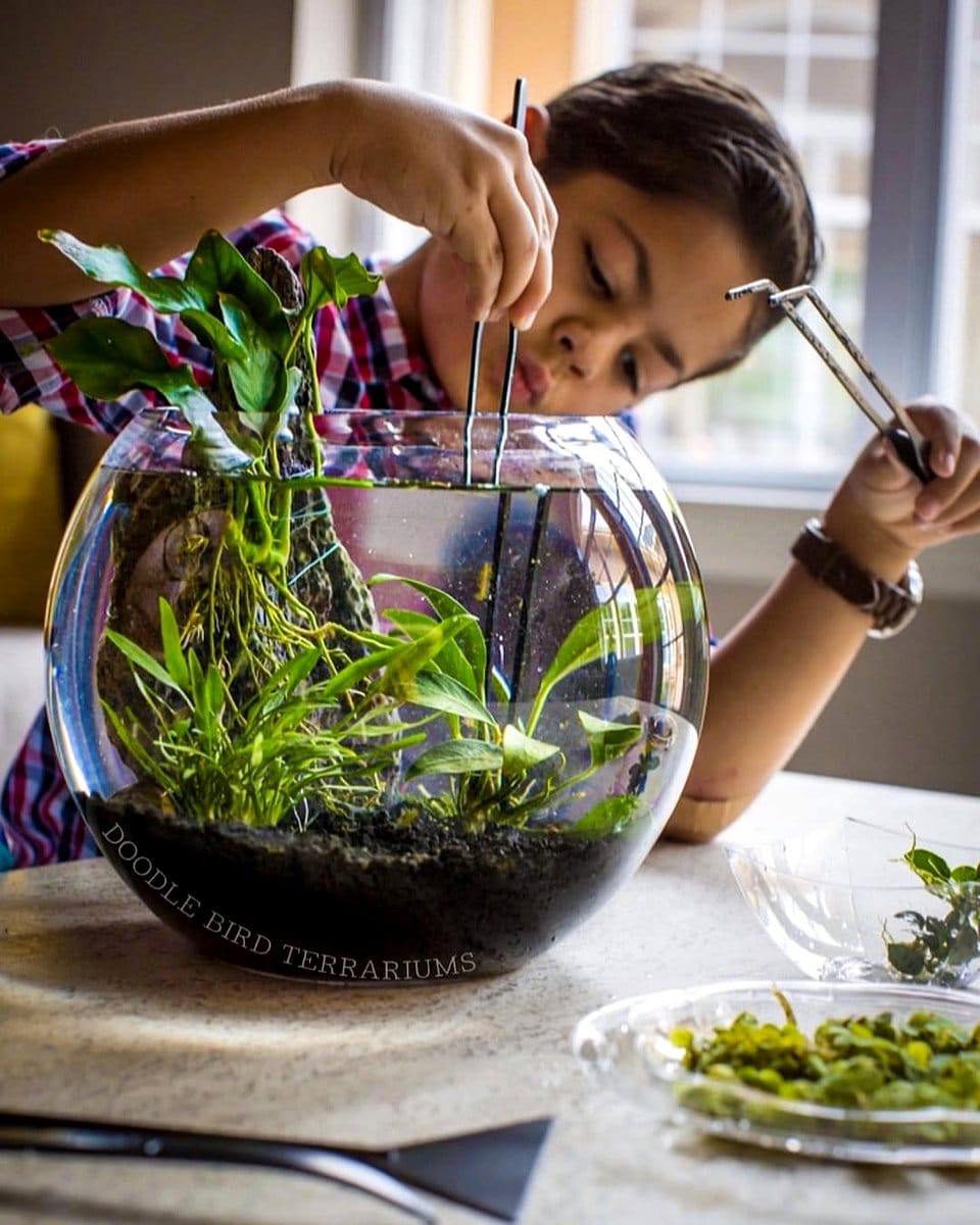 child planting in terrarium