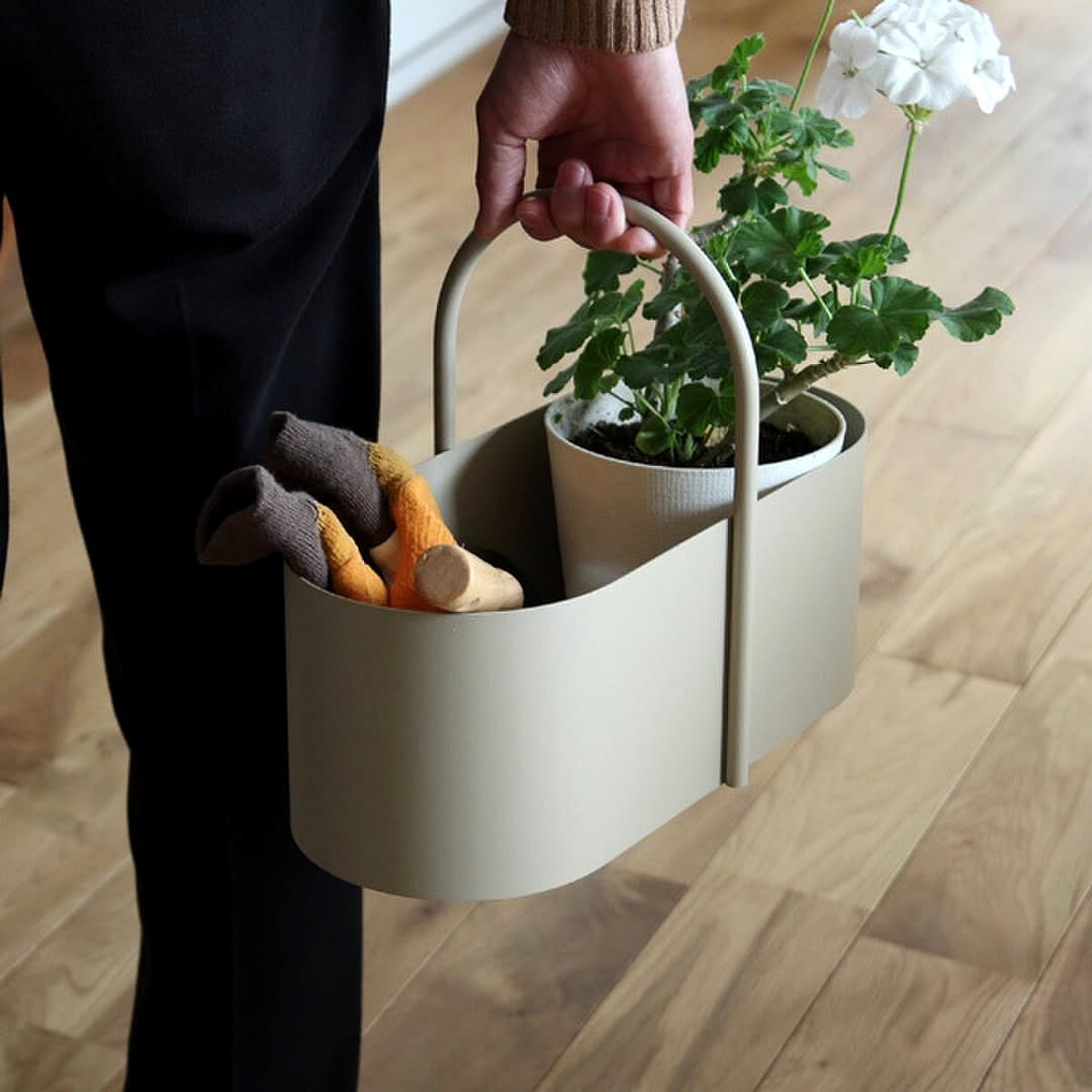 toolbox with indoor plants