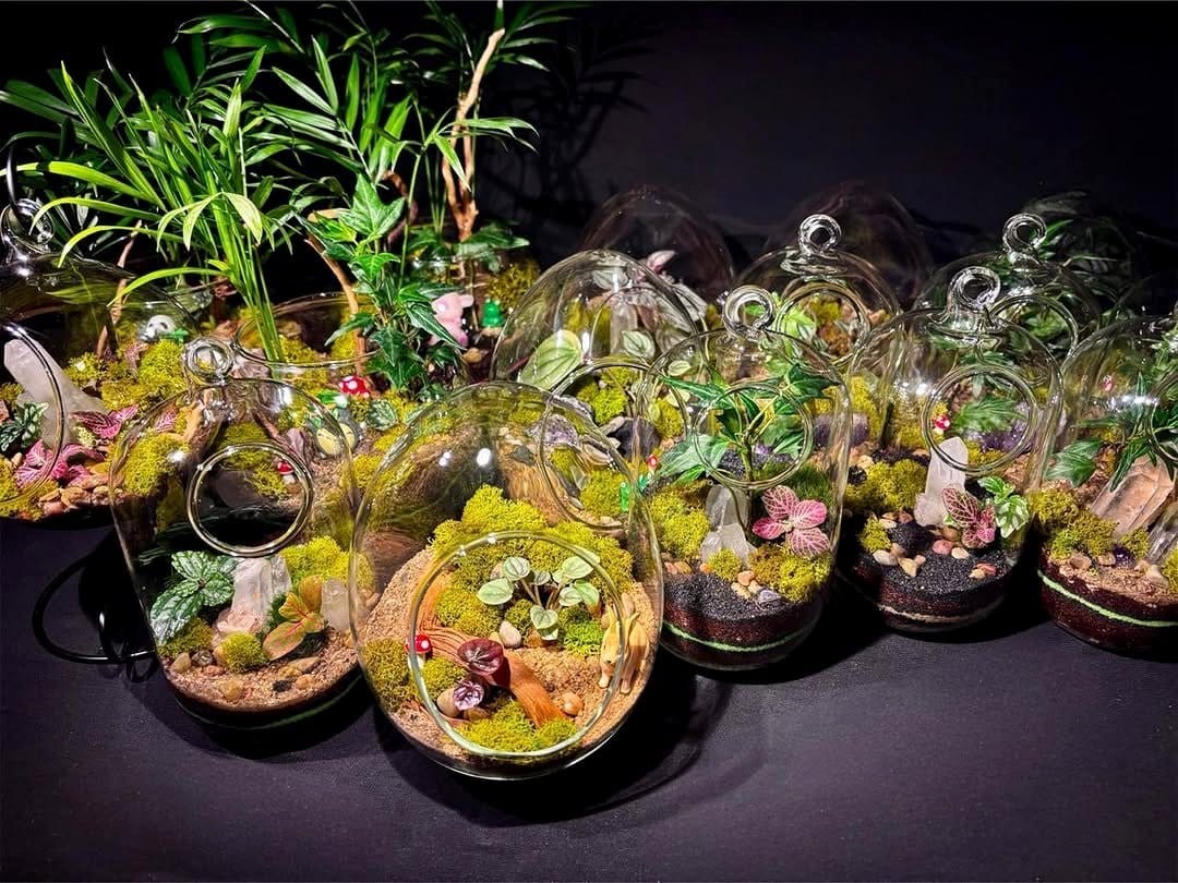 Cactus terrarium with lava lamp feature