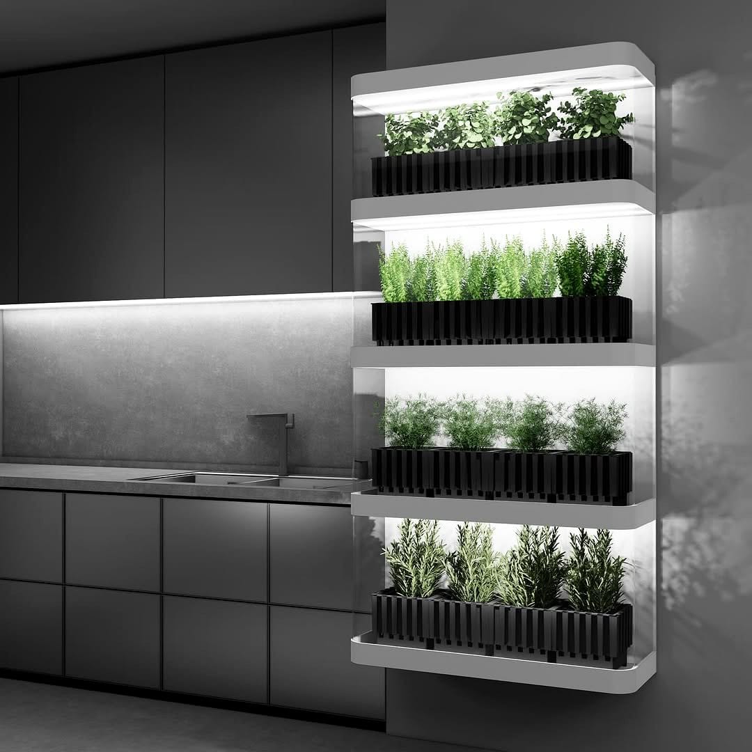 kitchen drawer with herb plants