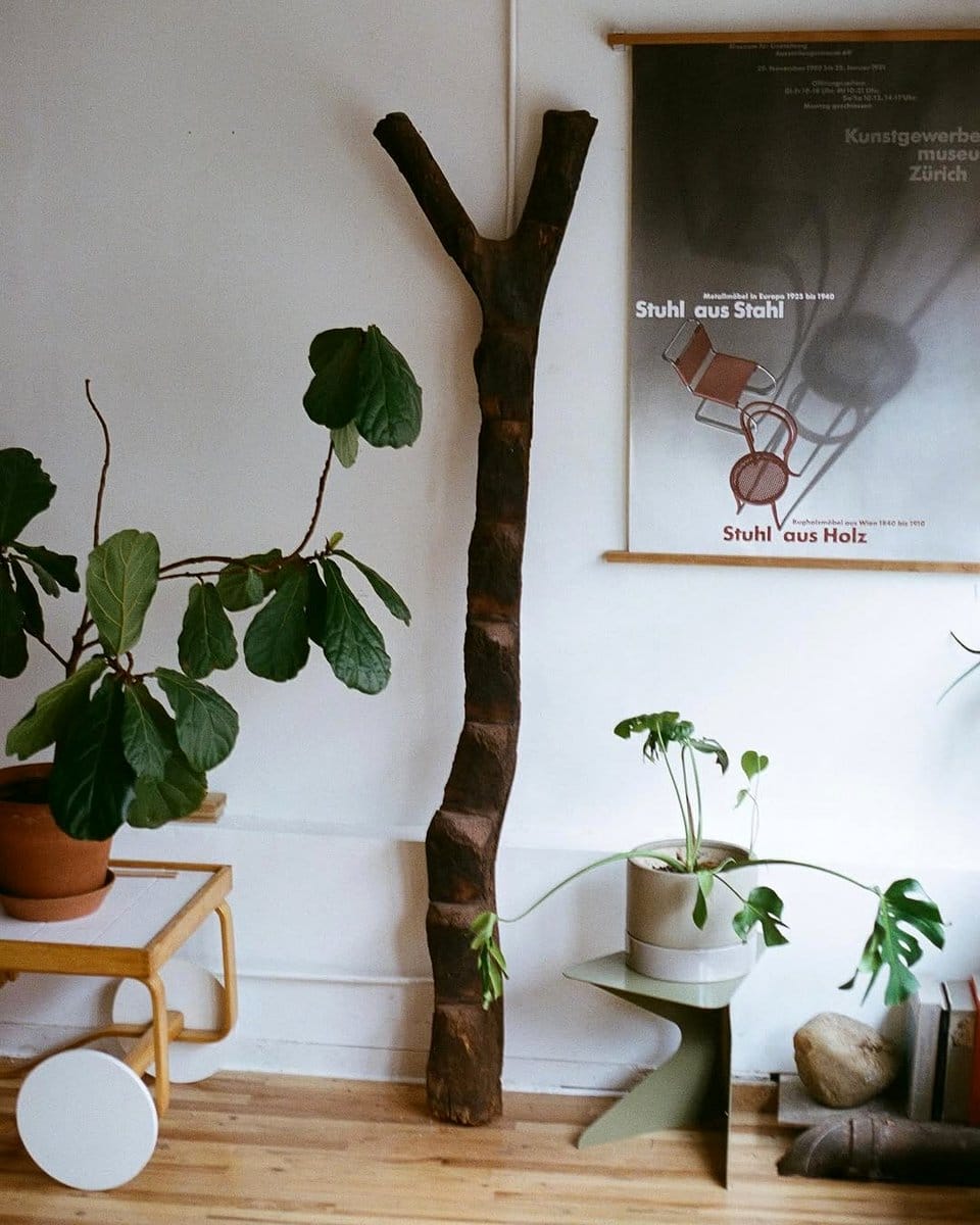 plant ladder in hallway
