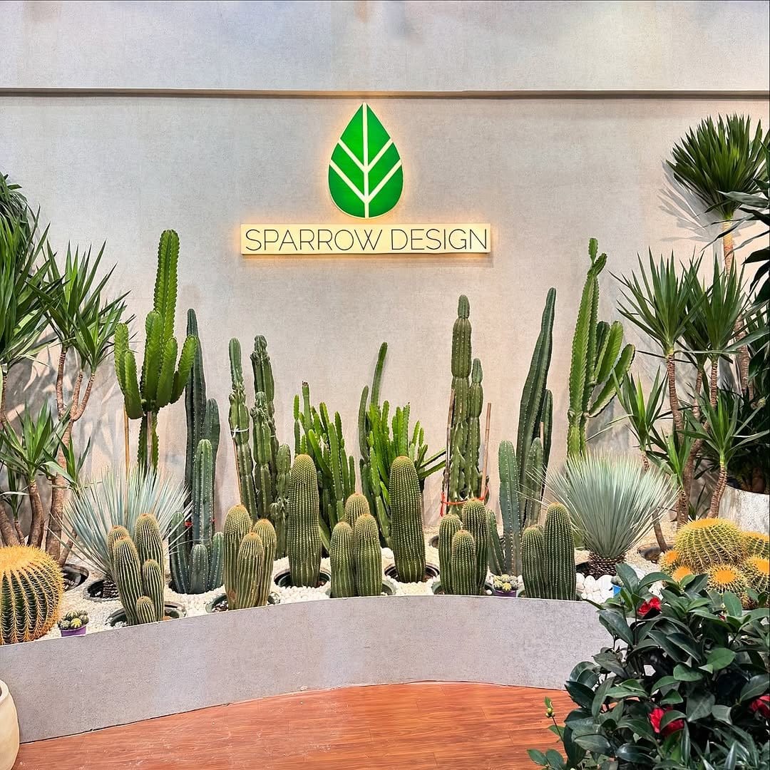 Rustic prickly pear cactus in stone pots