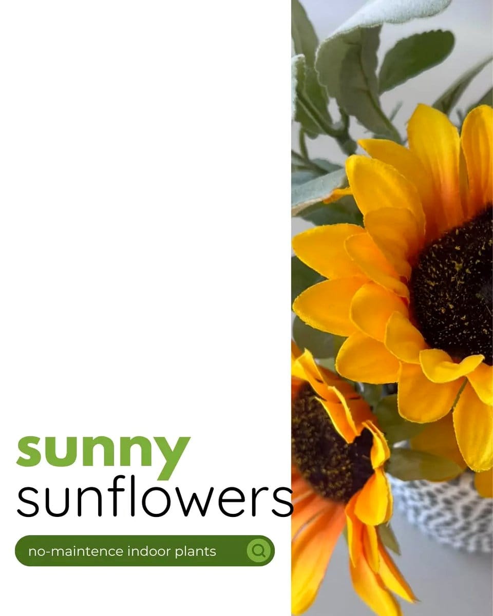 Sunlit room with vibrant sunflowers