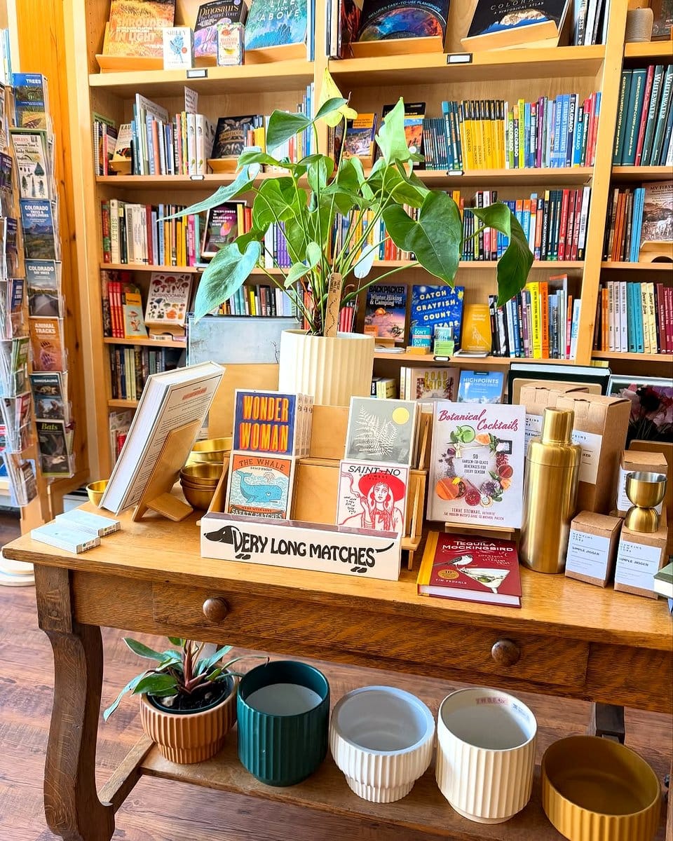 mini library shelf with book planters