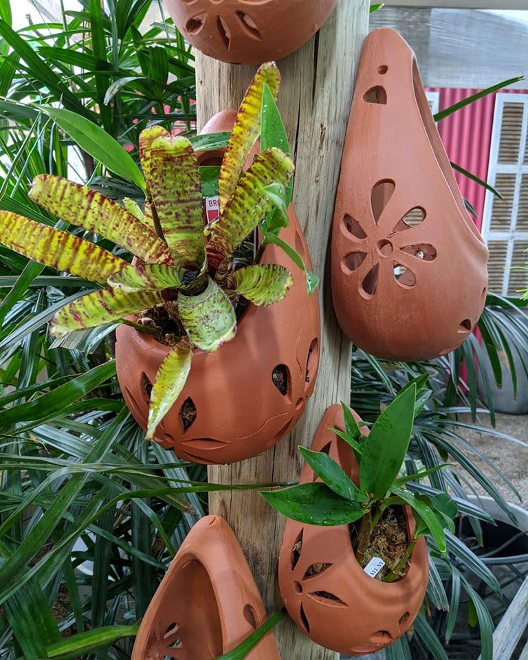 Wall-mounted clay pot plant arrangement