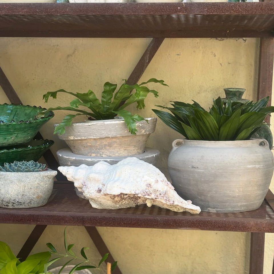 Burlap-wrapped pots with colorful blooms
