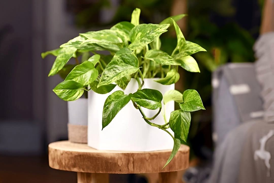Eco-friendly marble pot production