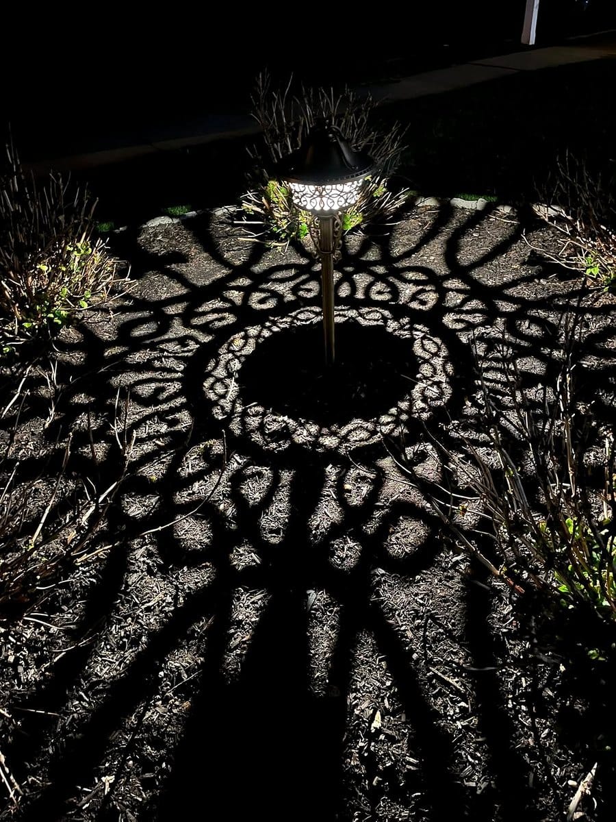 lamp illuminating plant shadows