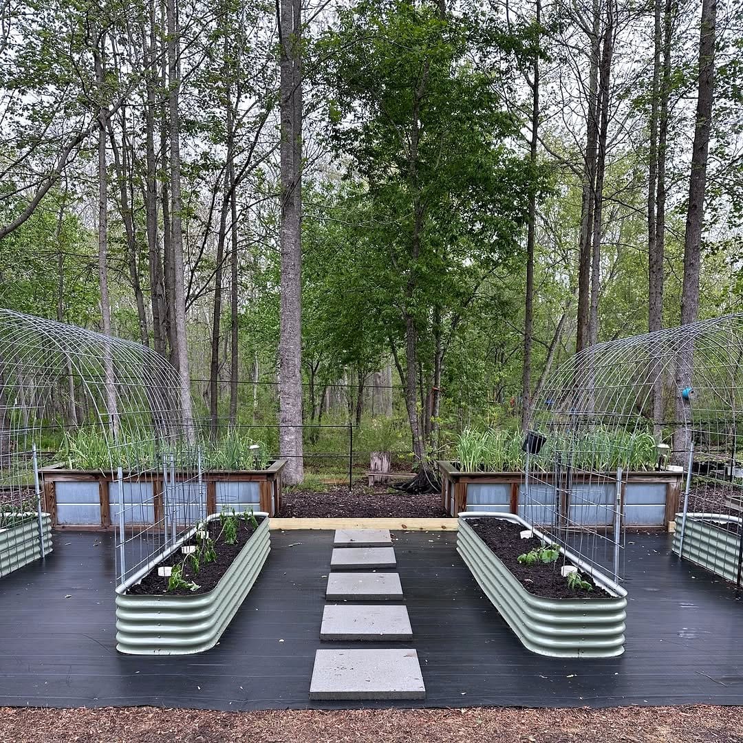 garden bed with eggshell barriers