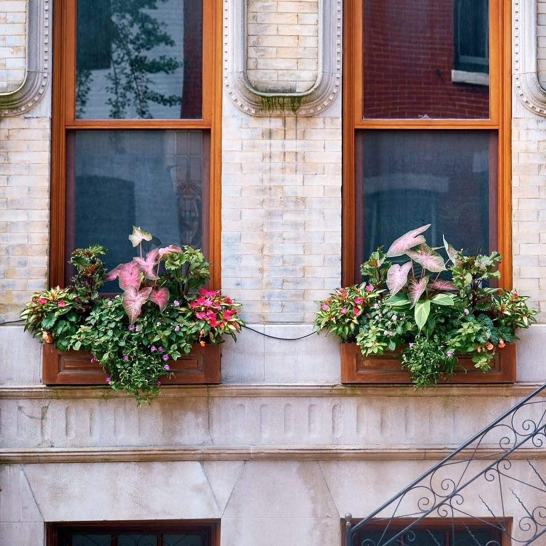 colorful leaf planters on windowsill
