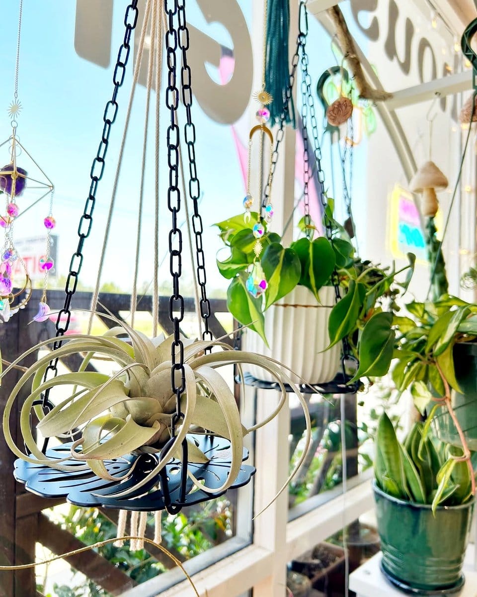 hanging plant curtain with macrame holders