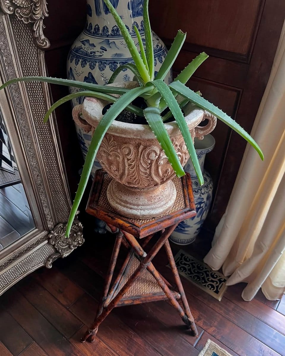 Art Nouveau-style metal plant hanger with curves