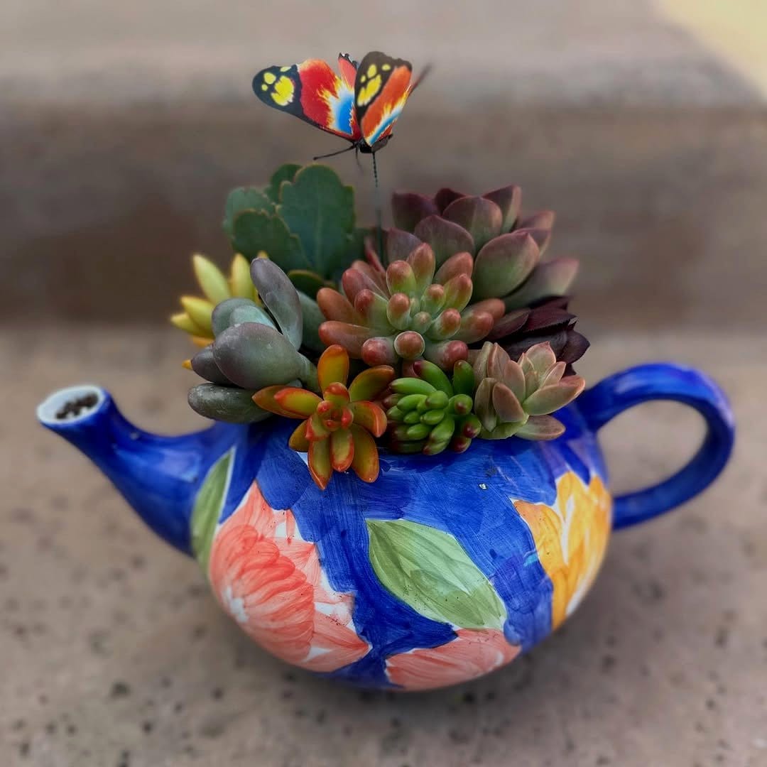 colorful teapot with succulents