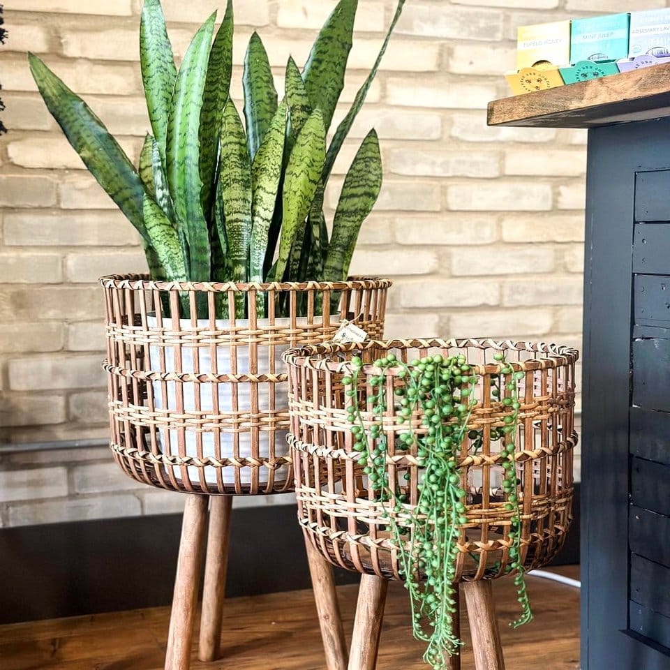 Rattan baskets and wooden plant stands