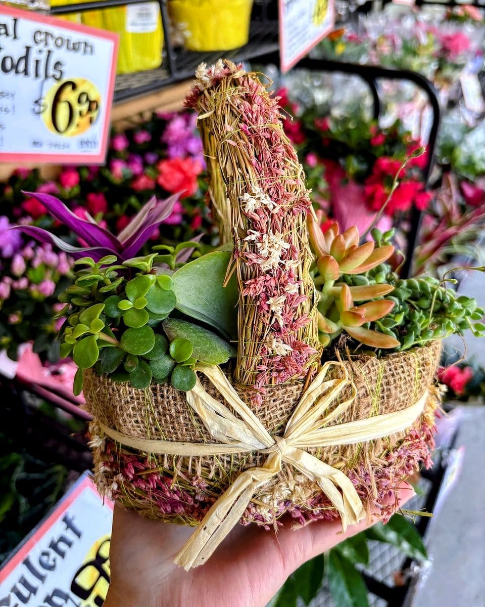 woven basket planter with succulents