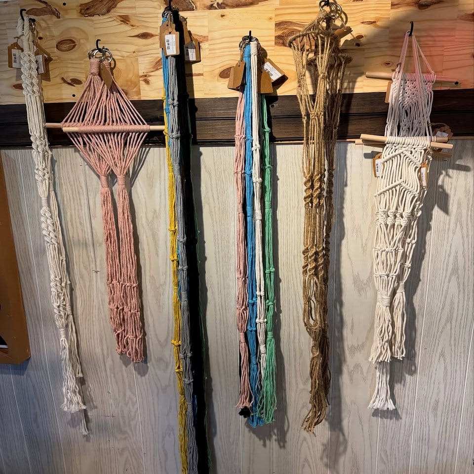Driftwood and macrame plant hanger